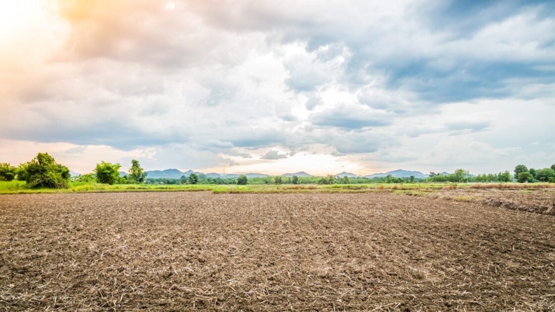 Perbedaan Tanah dan Kavling yang Perlu Anda Ketahui