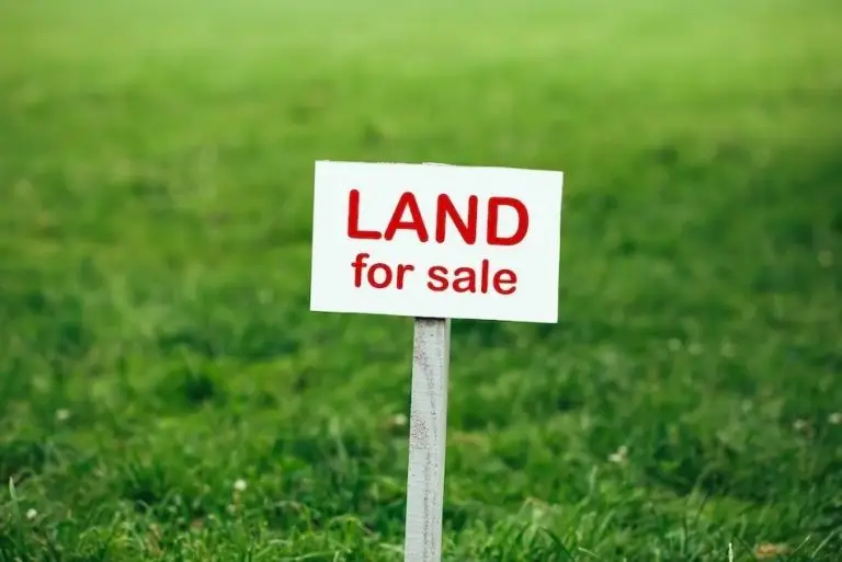 Perbedaan Tanah Perkotaan dan Pedesaan untuk Investasi